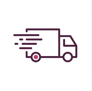 Express Shipping